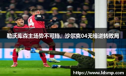 勒沃库森主场势不可挡，沙尔克04无缘逆转败局