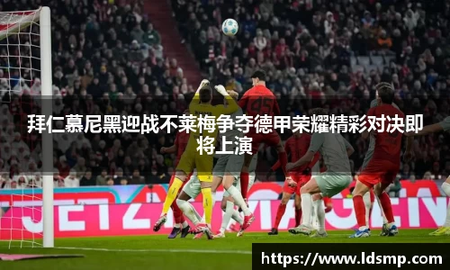 优游国际ub8